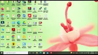 WINDOW 10 AND WINDOWS 11 SPEED ISSUE  SOLUTION