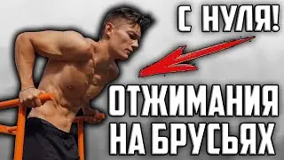 ОТЖИМАНИЯ НА БРУСЬЯХ С НУЛЯ | Как научиться отжиматься на брусьях