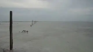 солёное озеро эльтон