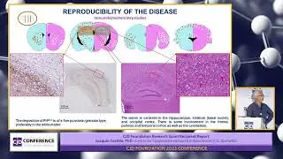 Joaquín Castilla, PhD - Research Grant Recipient Report - 2023 Conference