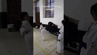 dojo Shudokan Internacional Tulancingo Hidalgo