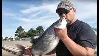 Рыбалка на озере Мичиган на форель и лосось / Fishing on Lake Michigan for salmon and trout