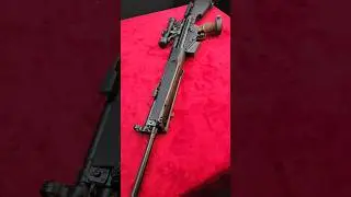 HK SR9 PSG-1 FCG MSG90 Stock Hensoldt Z24