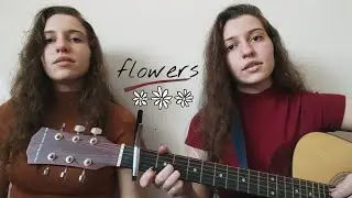 Flowers - Miley Cyrus (acoustic cover)
