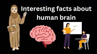 Interesting facts about human brain 🧠 #physiotherapy #neurology #cpchild #usa #doctor