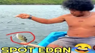 Mancing pinggiran laut penghuninya ikan aneh