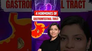 4 Hormones of Gastrointestinal Tract #neetbiology #neet2024 #neetexam #neetpreparation