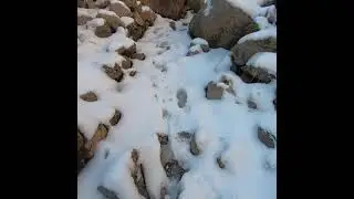 Walking in the snow around abandonned Darai Mar village, in Hawraman, Kurdistan, Iraq, 01.2021 ;)