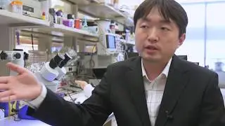 Electronic glove offers ‘humanlike’ features for prosthetic hand users