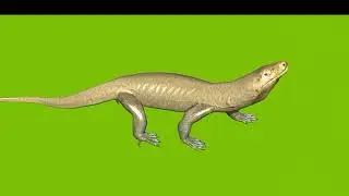 Komodo dragon running and walking on green screen cartoon characters no copyright 2