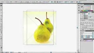 Placing an image in Illustrator CS5