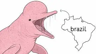 Every Country's Most FREAK Animal Explained