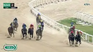 (Busan) 2026.07.19 R2 Class 6 (1400M) Special Weight A