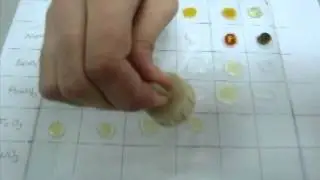 Precipitation Experiment