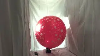 #189 BTP - Cattex 32