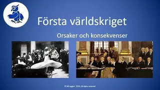 Första världskriget - orsaker och konsekvenser