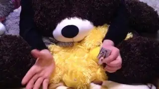 Секрет фокуса с картой и монетой