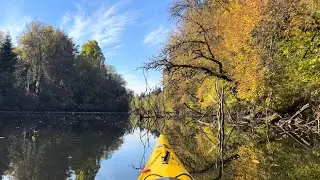 Fall colors paddle in 4K--turtle, reflections￼
