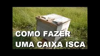 🏚️ Como fazer uma caixa isca para abelhas apis