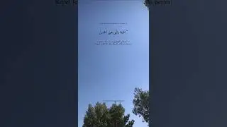 Sureh-Hameem-Assajda Ayat:33 #trending #shortvideos #like #subscribe #trendingvideo #trendingshorts