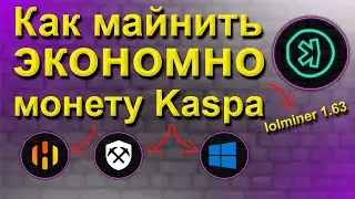 МАЙНИМ КАСПУ И ЭКОНОМИМ ЭЛЕКТРИЧКУ | НАСТРОЙКА LOLMINER В HIVE, RAVE И WINDOWS