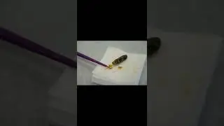 Give it a NAME!!! - Dr. Paul (Retired)