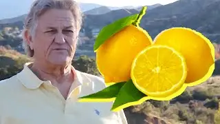 Larry The Lemon Man