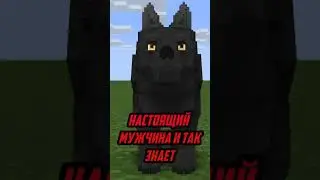 Цитаты от волка в Майнкрафте #майнкрафт #мем  #shorts