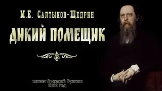 М.Е. Салтыков-Щедрин 