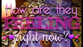 How do they feel about you RIGHT NOW? ❤😥❤ | Pick A Card Tarot | Timeless |