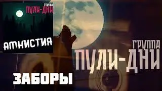 Группа Пули Дни - Заборы