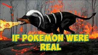 If Pokemon were Real HD (The Best Quality on YouTube)
