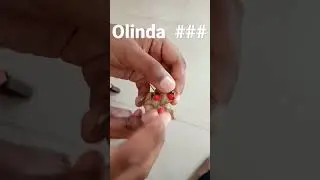 Olinda ✨✨✨