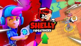 How To Push SHELLY To Rank 30 | TIPS&TRICKS | SHELLY GUIDE | ULTIMATE RANK 30 GUIDE🗡️