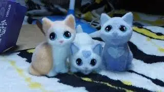 Распаковка бархатных котиков!