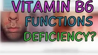 Vitamin B6 (Pyridoxal Phosphate - PLP) - Functions - Deficiency of Vitamin B6