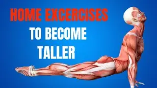 10 Secret Exercises to Grow Taller (Even as an Adult!)