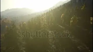 Drone Footage Of A Forest During Sunset | Landscape | Shutterstock | Part-10