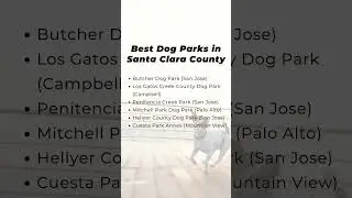 Best Dog Parks in the Bay