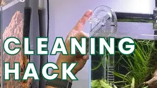 LILY PIPE cleaning HACK! FASTER and EASIER Than Ever