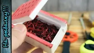 How to keep bloodworms fresh and alive for fishing.