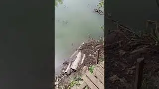 наш домик!!!