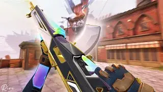 raw accel? just aim lol