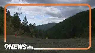 Doberman puppies may be connected to Idaho Springs man's death, say police