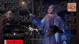 Window shopping at Hogsmead! - Hogwarts Legacy | 1440P JackalBlender