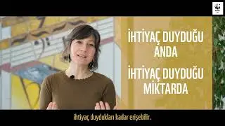 Kompost Nedir, Neden Önemlidir? 🥕