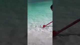 Прекрасные виды 😲 #shortvideo