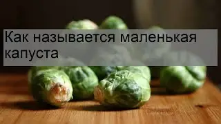 Как называется маленькая капуста