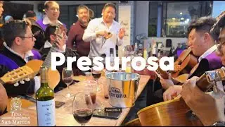 Ensayo, Presurosa