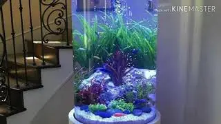 Best aquerium design...